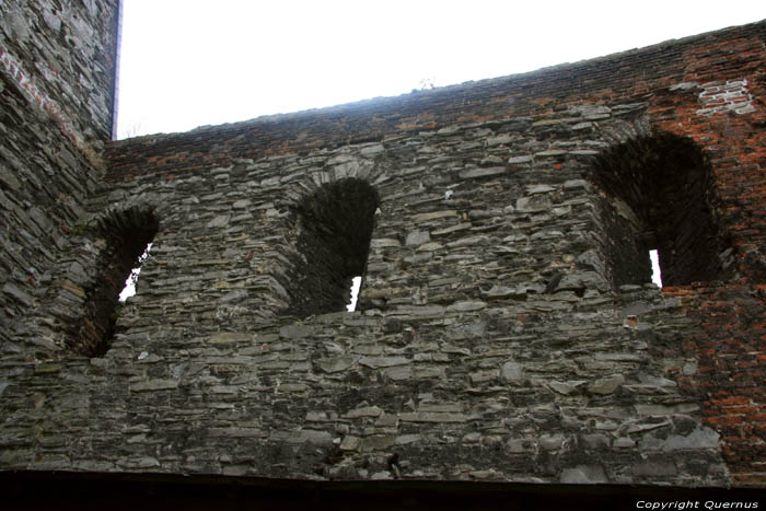 Ruins of the Saint Bavon's abbeye GHENT picture 