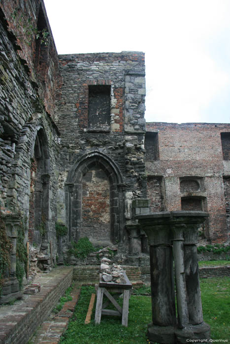 Ruins of the Saint Bavon's abbeye GHENT picture 