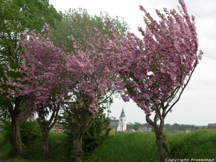 Sint-Gorgoniuskerk HOEGAARDEN / BELGI 