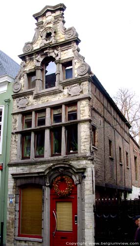 De Koornbloem MECHELEN / BELGI 