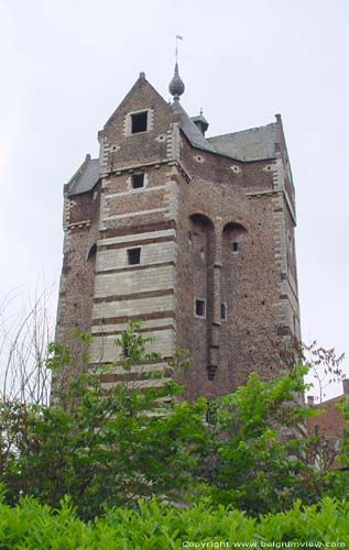 Burchttoren van Ter Heyden ROTSELAAR foto  