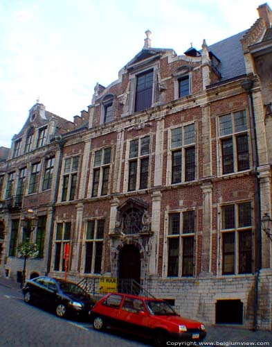 Van Ranst houses TIENEN picture