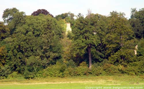 Ruins of the Kolmont castle (in Overrepen) TONGEREN / BELGIUM 