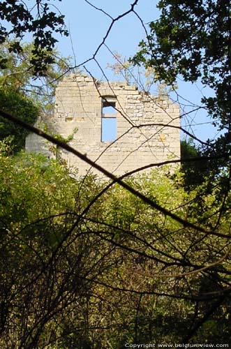 Ruins of the Kolmont castle (in Overrepen) TONGEREN / BELGIUM 