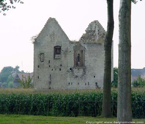 Donjon of Rutten TONGEREN picture 