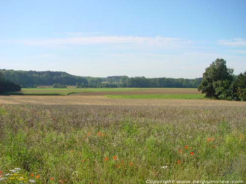 Paysage PELLENBERG  LUBBEEK / BELGIQUE 