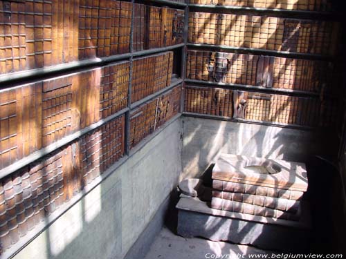 Hofkamer ANTWERPEN 1 (centrum) in ANTWERPEN / BELGI Zicht op het helaas erg toegetakelde toilet ingericht als bibliotheek.