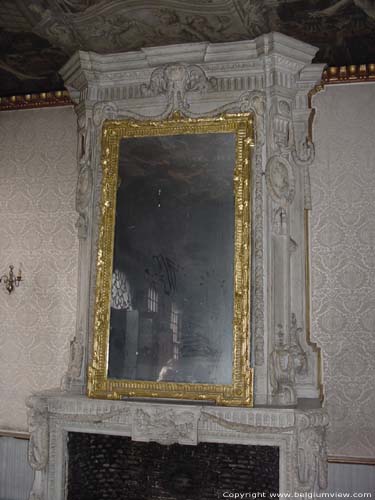 Hofkamer ANTWERPEN 1 (centrum) / ANTWERPEN foto De witmarmeren schouw in deze ruimte is een van de mooiste Lodewijk XVI-schouwen in Antwerpen. Ze is overladen versierd met een grote, vergulde spiegel.