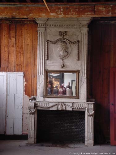 Hofkamer ANTWERPEN 1 (centrum) / ANTWERPEN foto Mooie schouw in cararamarmer. Boven de spiegel bevindt zich een afbeelding van een Romeins keizer.