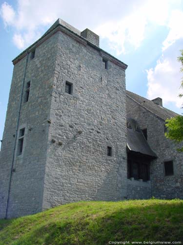 Ferme de la Cour ( Ragnies) RAGNIES / THUIN photo 