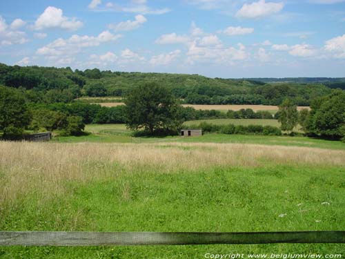 Paysage HOLSBEEK / BELGIQUE 