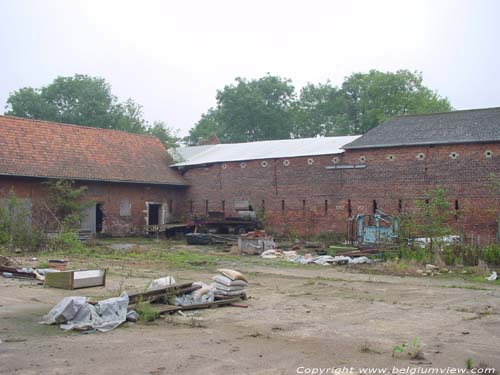 Kraneveld farm HAACHT picture 