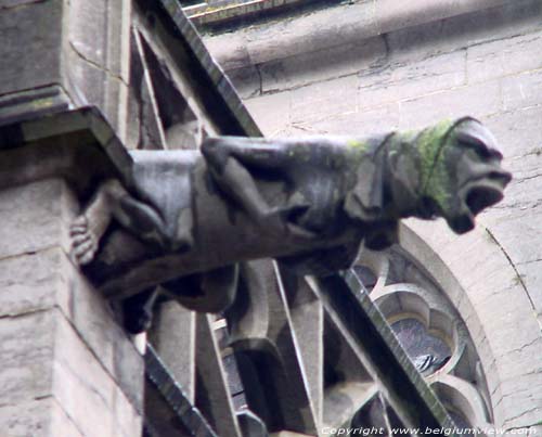 Sint-Maternusbasiliek WALCOURT foto 