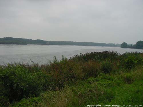 Zicht op de Schelde TEMSE / BELGI 