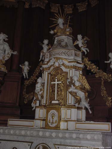 Saint Elisabeth's church MONS picture 