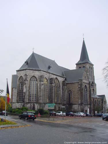 Dekenale Sint-Martinuskerk VISE / WEZET foto 