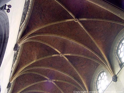 Dekenale Sint-Martinuskerk VISE / WEZET foto 