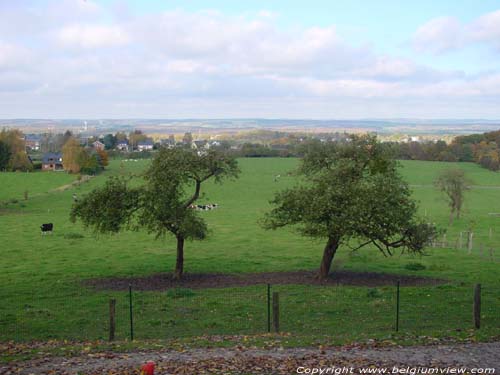 Landschap MARCHE-EN-FAMENNE / BELGIUM 