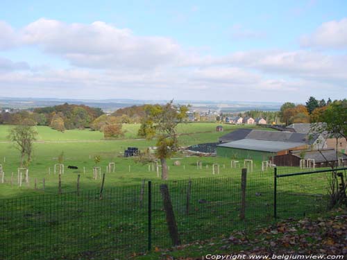 Landschap MARCHE-EN-FAMENNE foto 