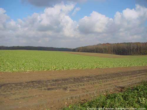 Landschap GLABAIS / GENEPIEN foto 