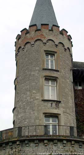 Dukes de Beaufort Castle FLORENNES picture 