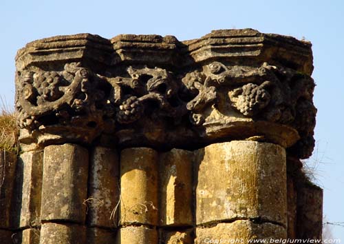 Ruins and museum of the Old Abbey of Orval VILLERS-DEVANT-ORVAL in FLORENVILLE / BELGIUM 