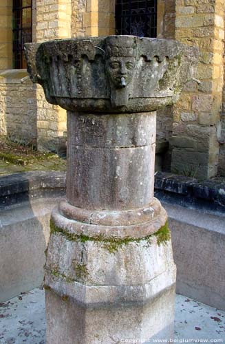 Ruins and museum of the Old Abbey of Orval VILLERS-DEVANT-ORVAL in FLORENVILLE / BELGIUM 