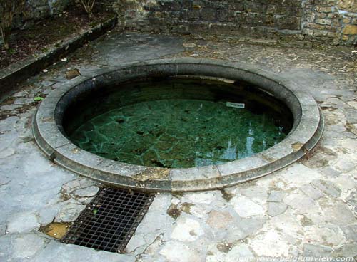 Rune en museum oude Abdij van Orval VILLERS-DEVANT-ORVAL in FLORENVILLE / BELGI In deze put komt het water van de bron terecht.