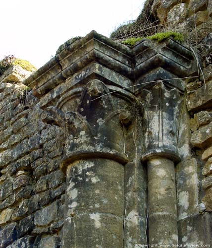 Ruins and museum of the Old Abbey of Orval VILLERS-DEVANT-ORVAL in FLORENVILLE / BELGIUM 