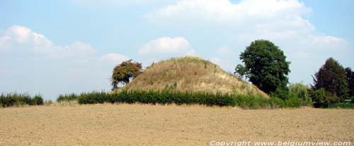 Tumulus 1e - 3e eeuw (Koninksem) TONGEREN / BELGI 