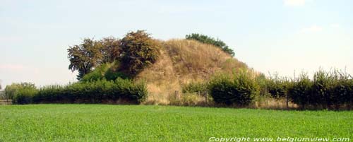 Tumulus Romain (2ime sicle) TONGEREN / TONGRES photo 