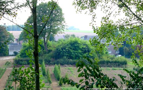 Kokkartstombe TONGEREN / BELGIUM 