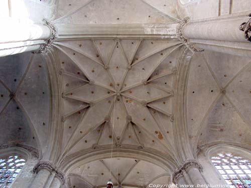 Sint-Jacobskerk ANTWERPEN 1 (centrum) in ANTWERPEN / BELGI Boven de viering heb je een mooi voorbeeld van een stergewelf.