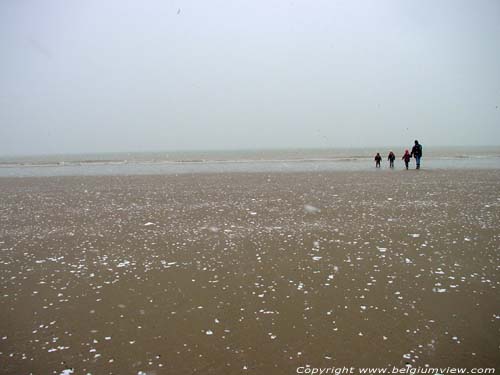 Strand OOSTENDE / BELGI Winters zicht: Vrouw met 3 kinderen op het strand tijdens de sneeuwval op 1 januari 2004.