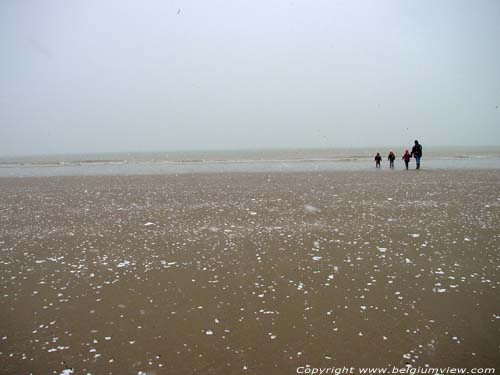 Plage OOSTENDE / OSTENDE photo Vue hivernale: femme avec 3 enfants pendant que la nege tombe le 1 janvier 2004.