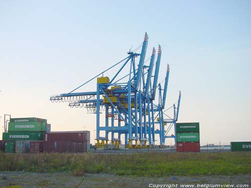 Containerkranen ZEEBRUGGE in BRUGGE / BELGI 