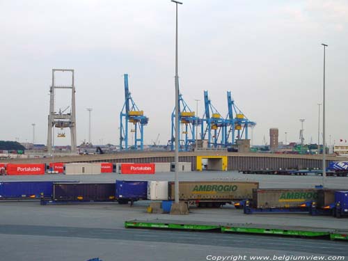 Container cranes ZEEBRUGGE in BRUGGE / BELGIUM 