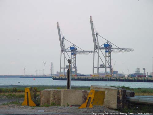 Containerkranen ZEEBRUGGE in BRUGGE / BELGI 