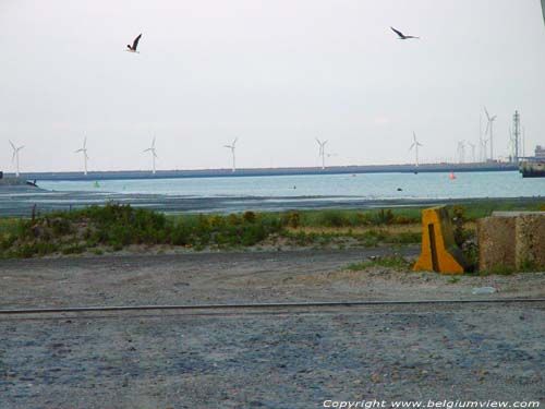 Moulins  vent d'lectiricit ZEEBRUGGE / BRUGES photo 