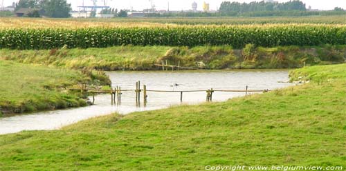 Zoutekreek OOSTENDE foto 