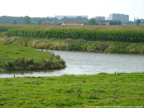 Salt Creek OOSTENDE picture 