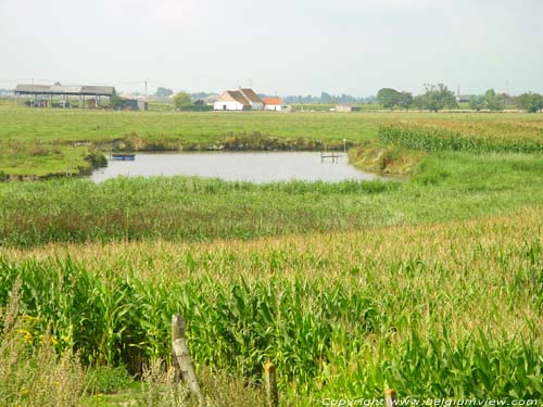 Zoutekreek OOSTENDE foto 