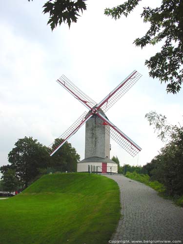 Moulin du vent frache (Moulin de bois de Boster) BRUGES / BELGIQUE 