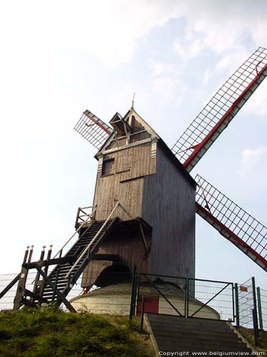 Mill of the cool wind (Bosterwoodmill) BRUGES picture 