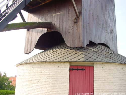 Koeleweimolen (Bosterhoutmolen) BRUGGE / BELGI 