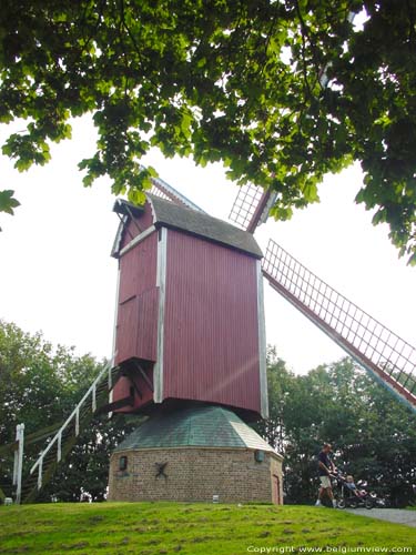 De Nieuwe Papegaai (Hoge Seinemolen) BRUGGE foto 