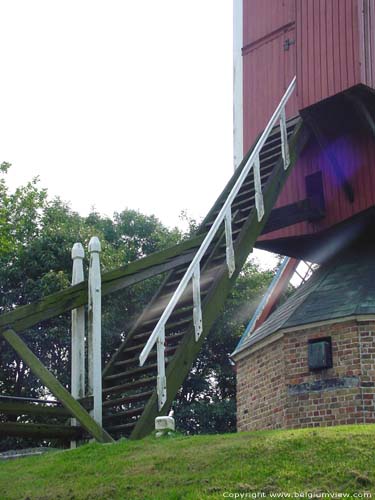 De Nieuwe Papegaai (Hoge Seinemolen) BRUGGE foto 