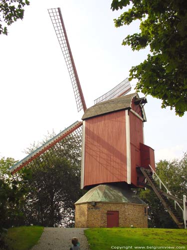 De Nieuwe Papegaai (Hoge Seinemolen) BRUGGE / BELGI 