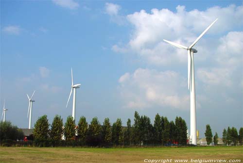 Windmill park BRUGES picture 