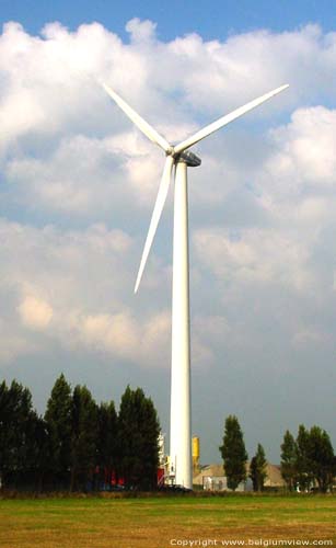 Windmolenpark BRUGGE / BELGIË 